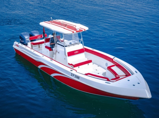 Fishing Boat Twin Engine 250 HP x 2 Toi