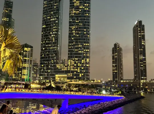 Explore Dubai at Night